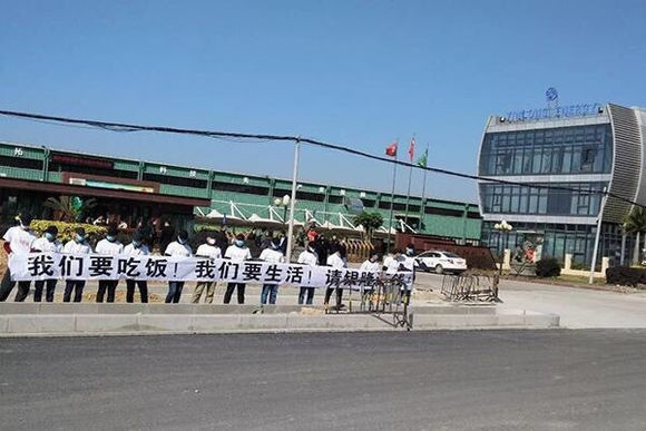 网传南京银隆新能源商务车项目不动产遭查封