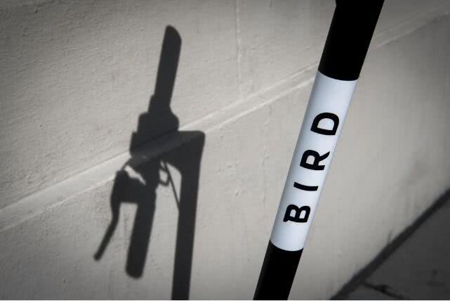 美电动滑板车创企Bird向国际扩张 在法国以色列推出试点项目