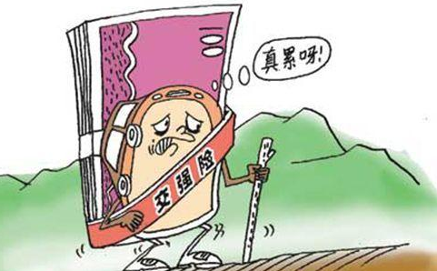 微型车交强险多少钱,汽车交强险包括哪些内容