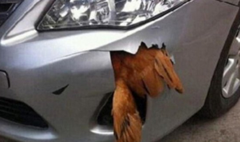 前保险杠一个角掉了能修复吗，汽车保险杠缺了一个角怎么办