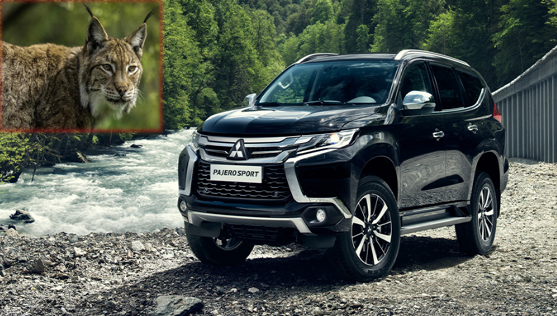 帕杰罗为什么叫山猫，山猫帕杰罗的由来